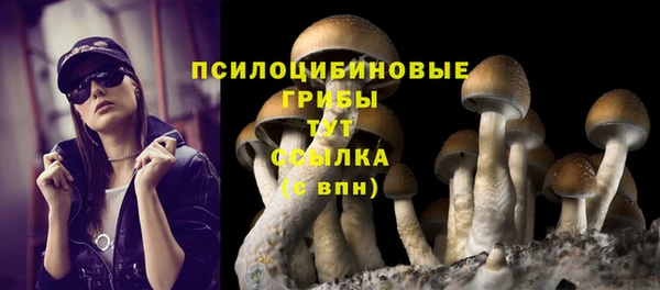apvp Алексин