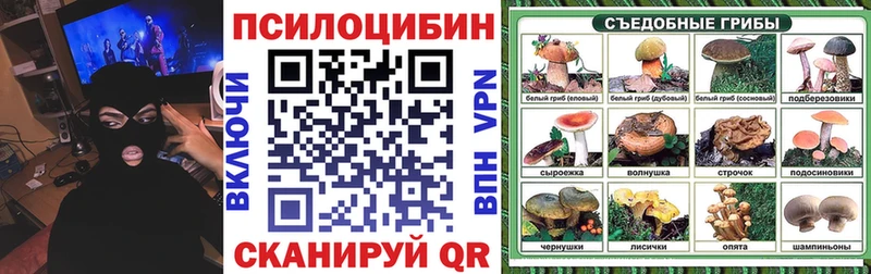 Псилоцибиновые грибы MAGIC MUSHROOMS  где продают наркотики  Евпатория 
