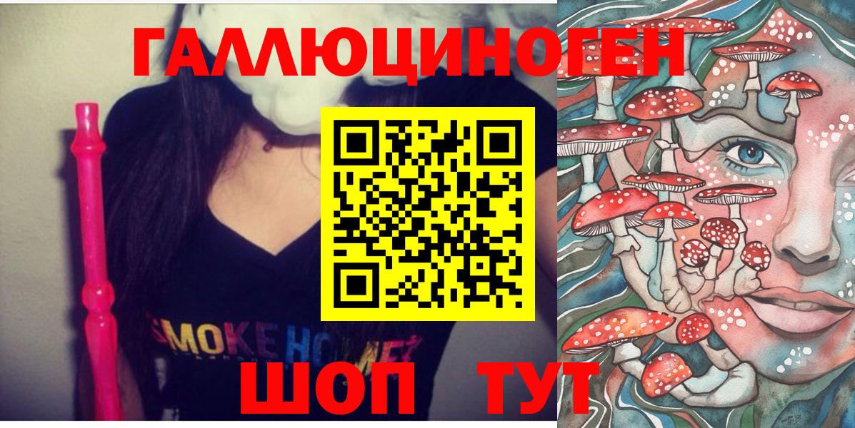 Псилоцибиновые грибы Psilocybine cubensis Евпатория