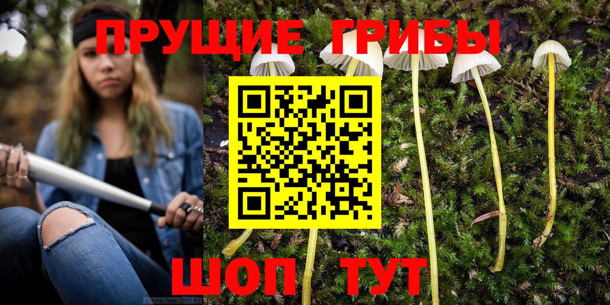 купить наркотик  Вход с VPN  Евпатория  Псилоцибиновые грибы Magic Shrooms 